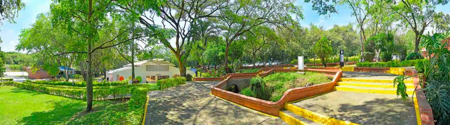 Foto COLEGIO INTERNACIONAL LOS CAÑAVERALES